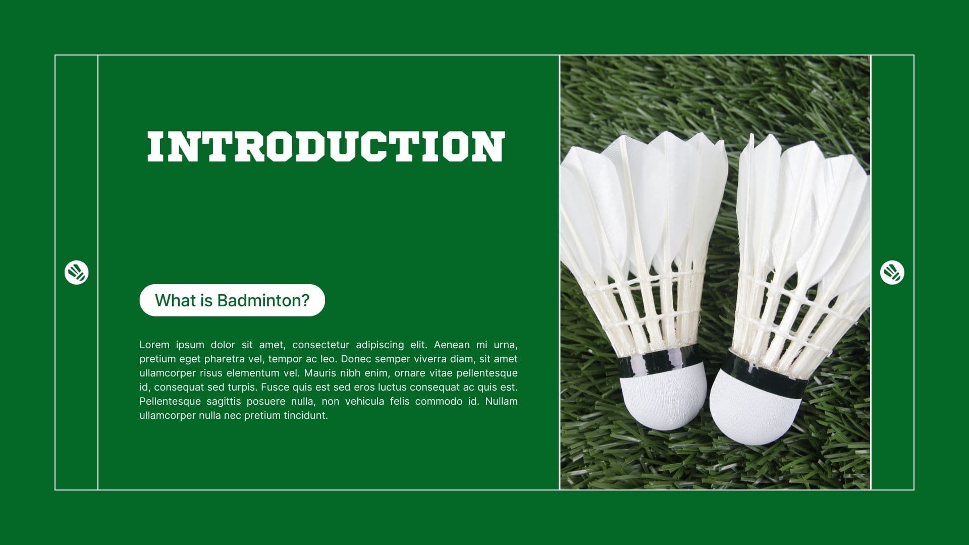 Hyderabad Open Badminton Tournaments